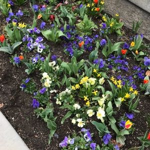 Meet your Posher, Gracie